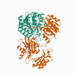 6W2D: Structures of Capsid and Capsid-Associated Tegument Complex inside the Epstein-Barr Virus